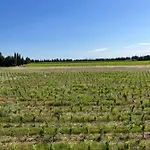Le Galus Au Coeur De Nos Vignes Bio *