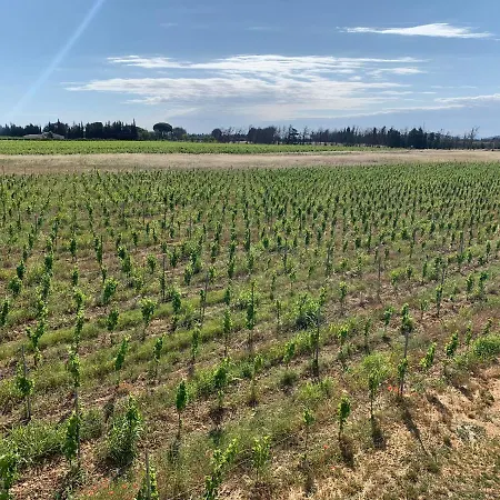 Feriehus Le Galus Au Coeur De Nos Vignes Bio *