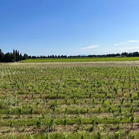 Le Galus Au Coeur De Nos Vignes Bio *
