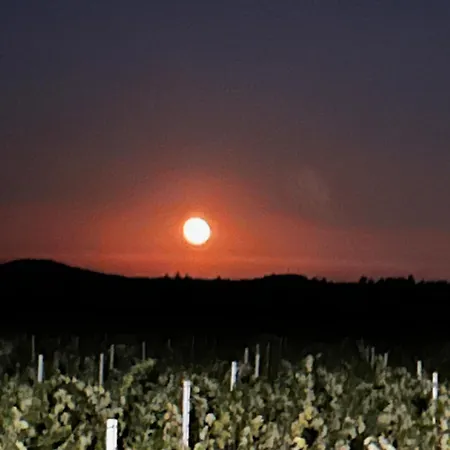 Hébergement de vacances Le Galus Au Coeur De Nos Vignes Bio *