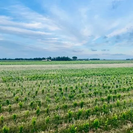 Hébergement de vacances Le Galus Au Coeur De Nos Vignes Bio
