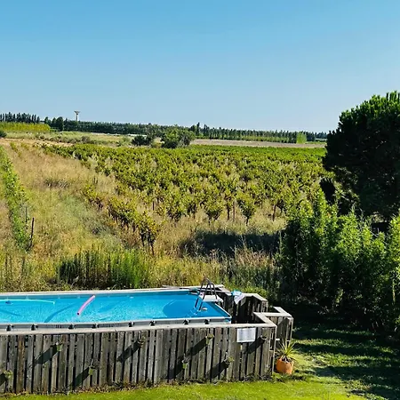 Le Galus Au Coeur De Nos Vignes Bio Meynes