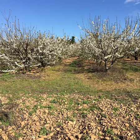 Le Galus Au Coeur De Nos Vignes Bio Feriehus