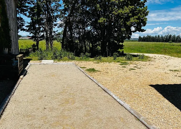 Le Galus Au Coeur De Nos Vignes Bio * Meynes